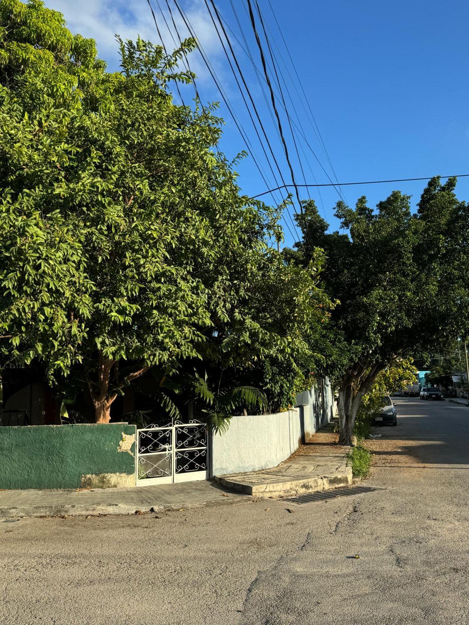Casa Mango Confort Ferienhaus *